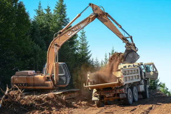 RockBet Casino Suporte